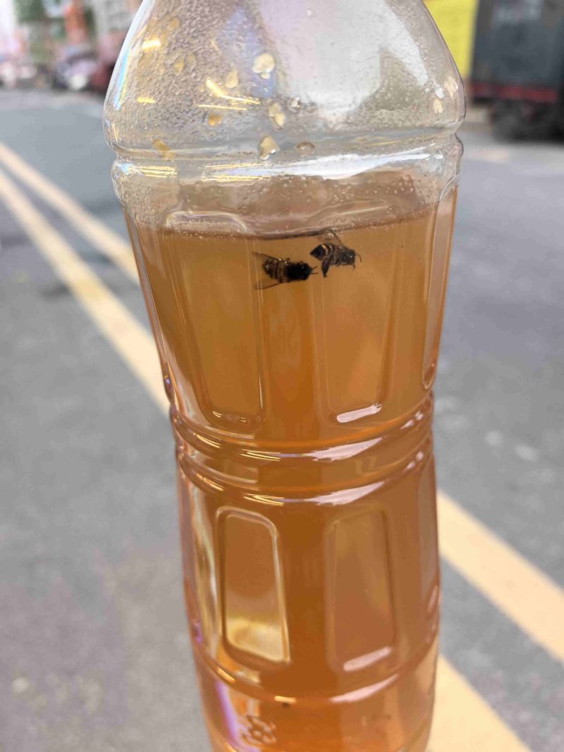 自家养的