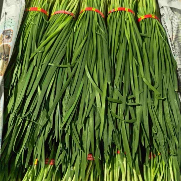 昆明基地韭菜杭州直销