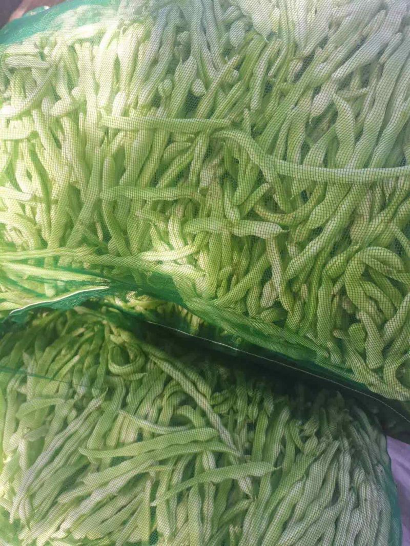 正宗《赤峰豆角》