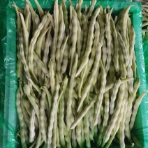 正宗《赤峰豆角》
