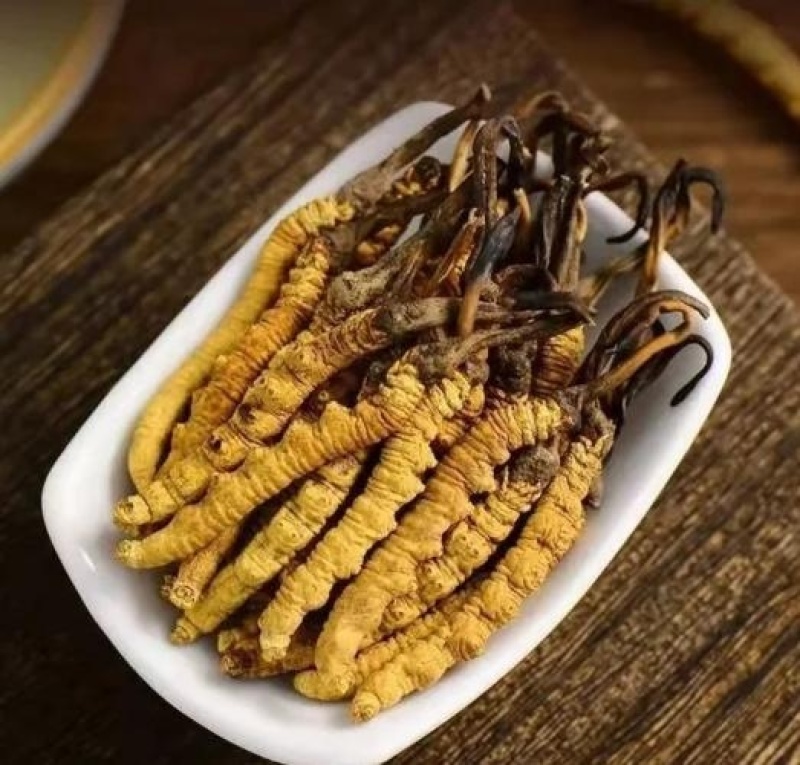 西藏那曲正宗冬虫夏草，高海拔原生好草，肉质饱满滋补佳品