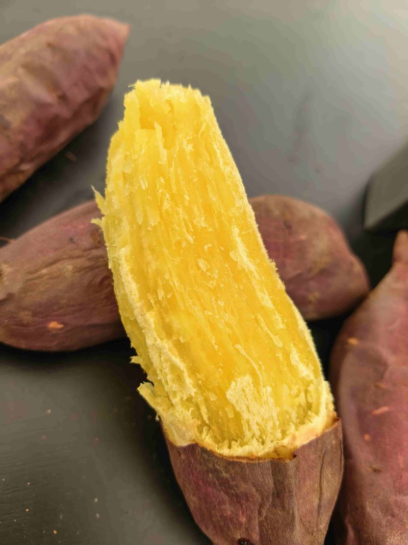 云南高原榴莲蜜薯。红土地种植。