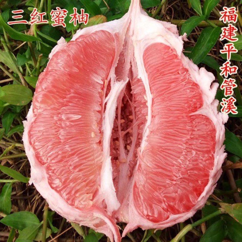 核心产区红心柚三红柚红肉蜜柚新鲜水果当季时令
