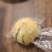 长效保鲜多规格可定制，比普通袋子延长几天，详细电联。