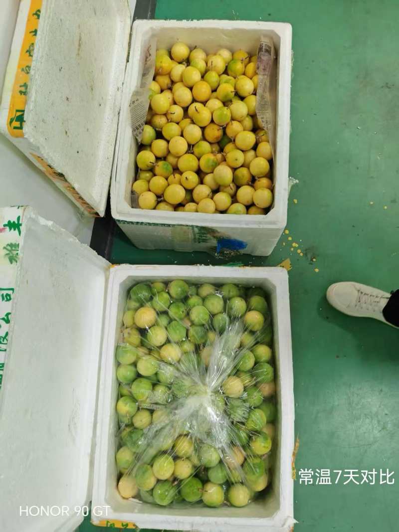 长效保鲜多规格可定制，比普通袋子延长几天，详细电联。