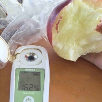 中油20个头发70起步糖度16+