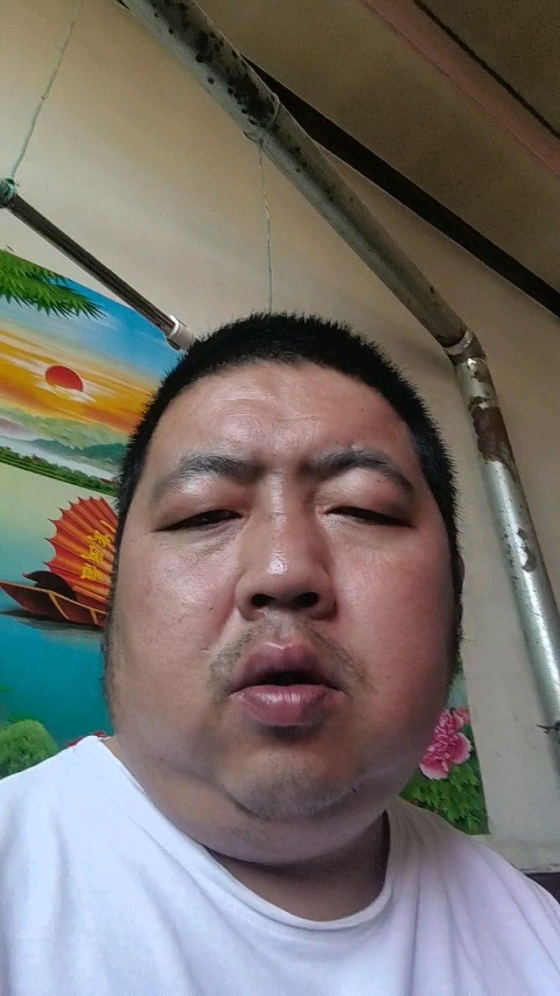 大荔县维多利亚青提葡萄，需要联系我价格不高