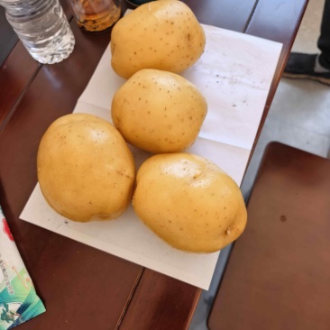 新鲜土豆
