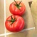 西红柿云南硬粉西红柿🍅产地直发量大从优可对接全国电商等