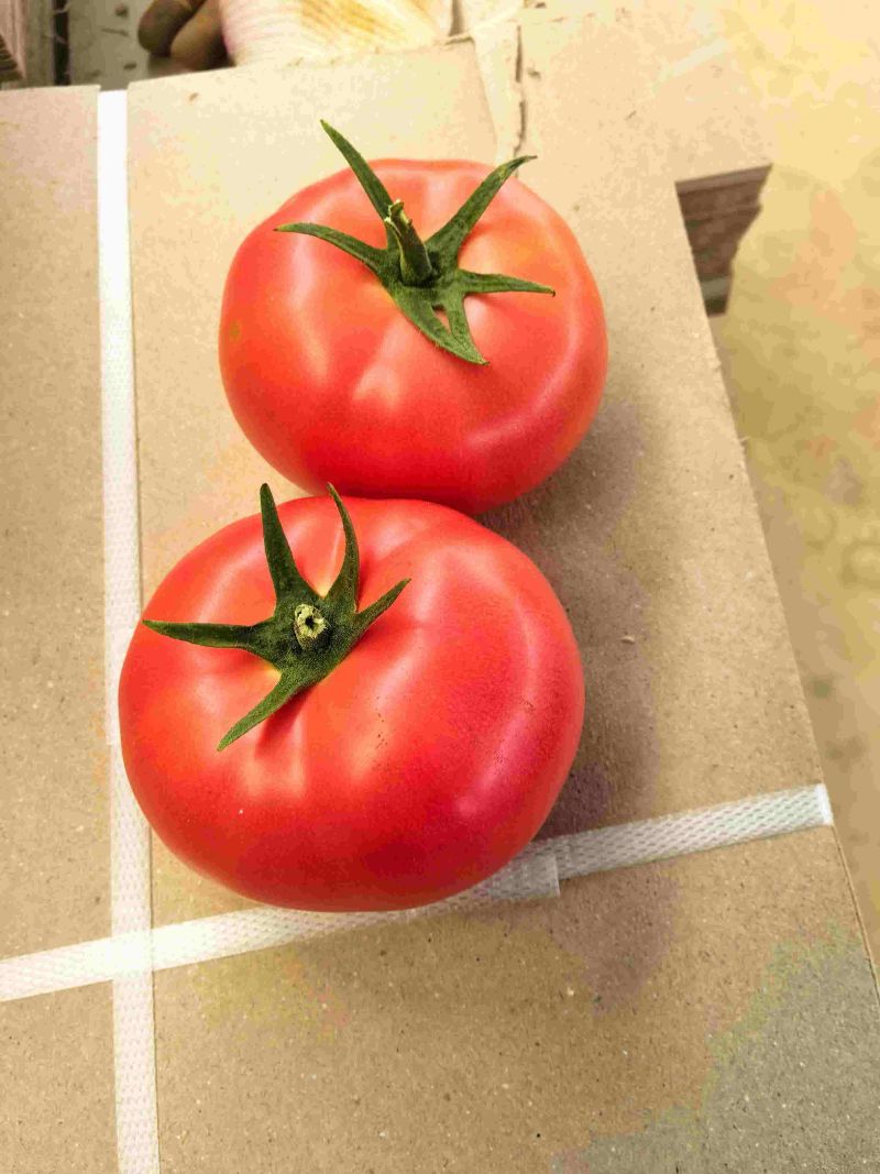 西红柿云南硬粉西红柿🍅产地直发量大从优可对接全国电商等