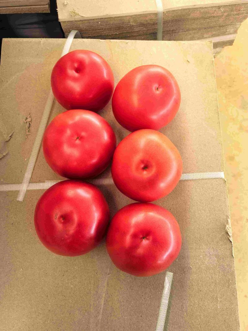 西红柿云南硬粉西红柿🍅产地直发量大从优可对接全国电商等