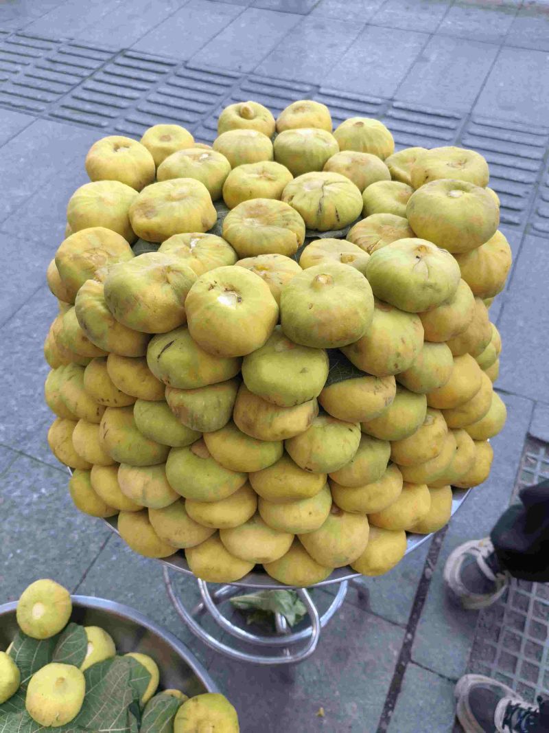 新疆无花果