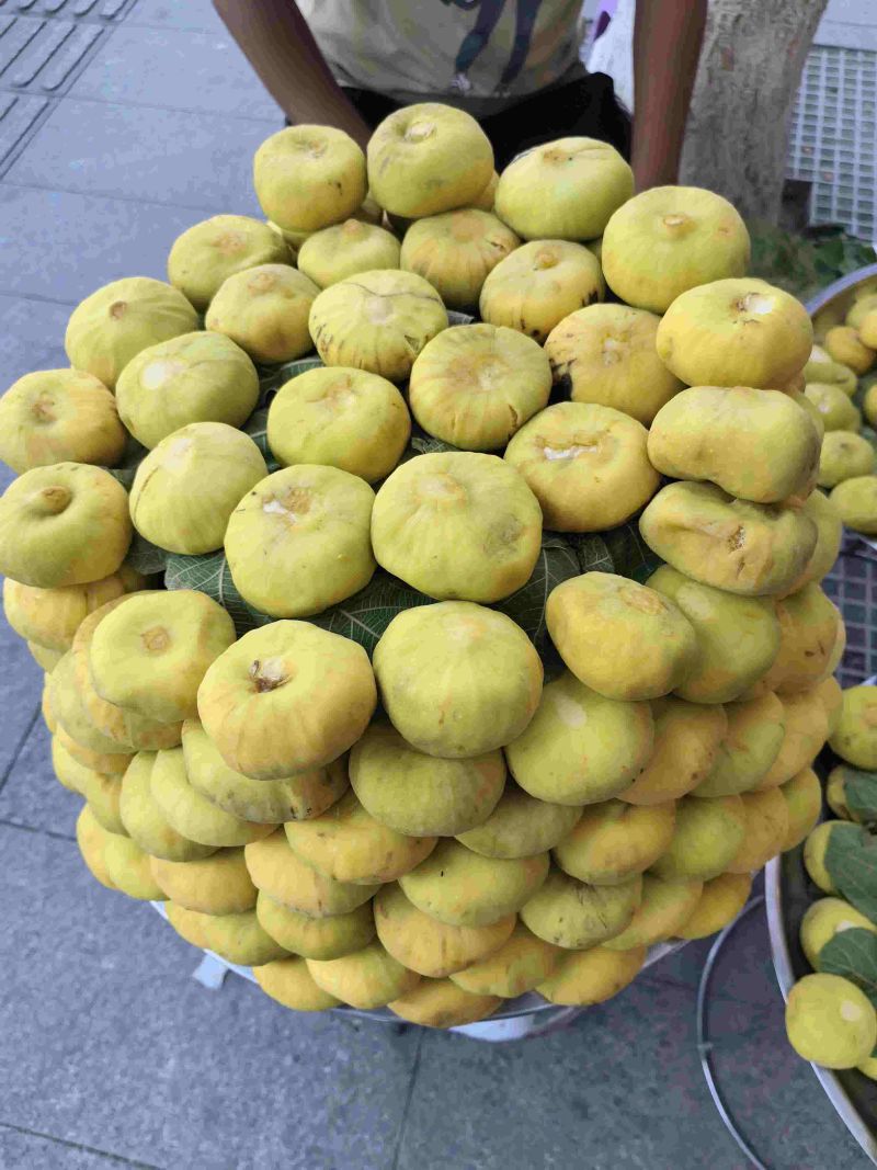 新疆无花果
