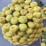 新疆无花果