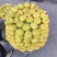 新疆无花果
