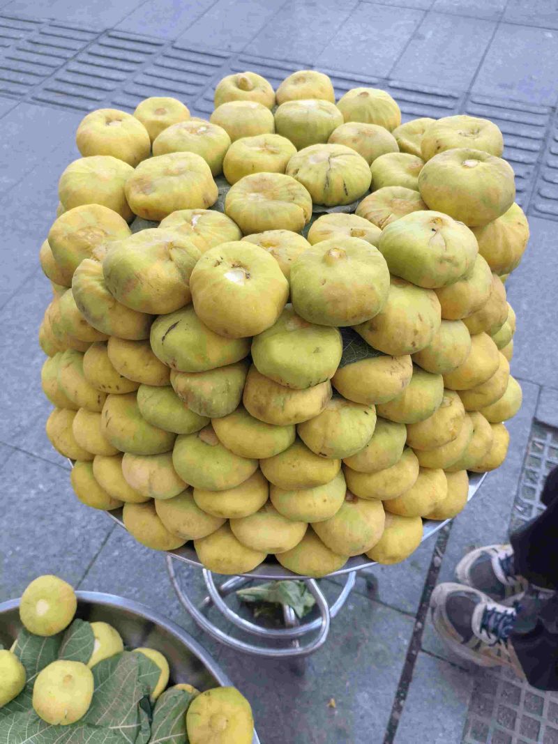 新疆无花果