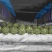 西瓜正品保障随时有货