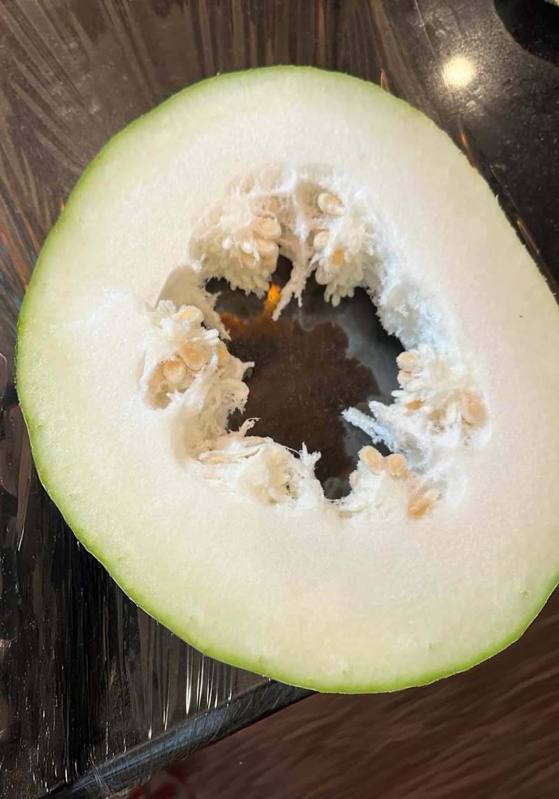 白皮冬瓜