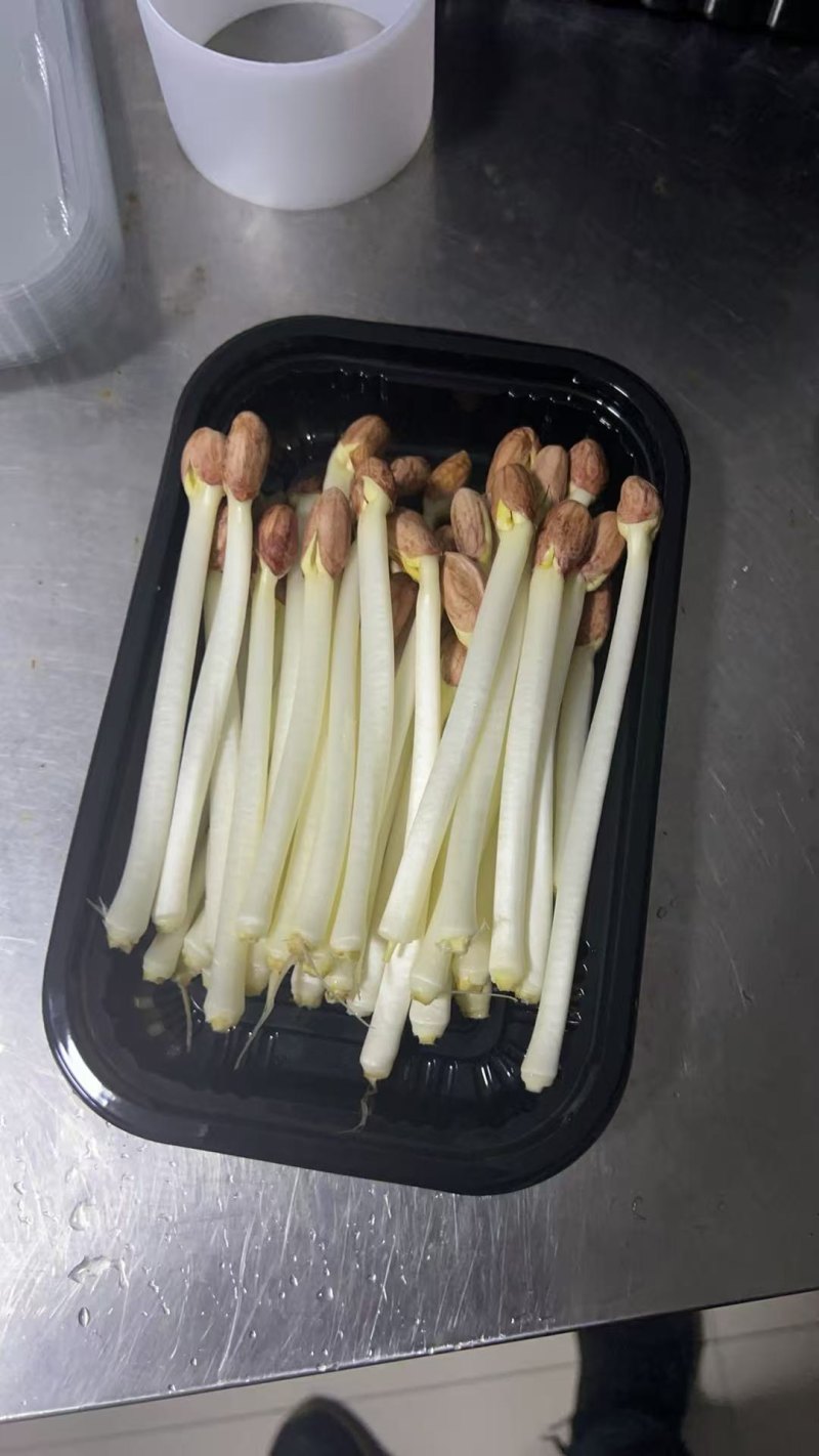 需要的可以联系我，长期有货。