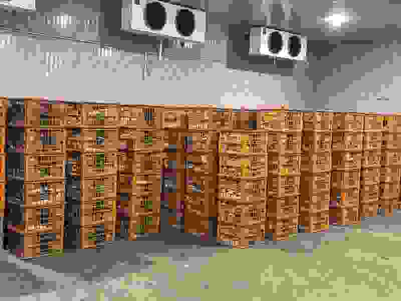 凤梨