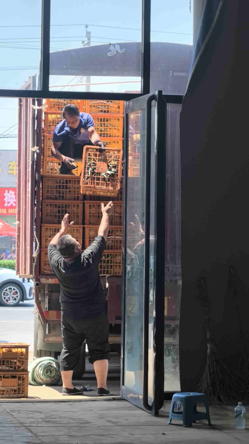 金钻凤梨