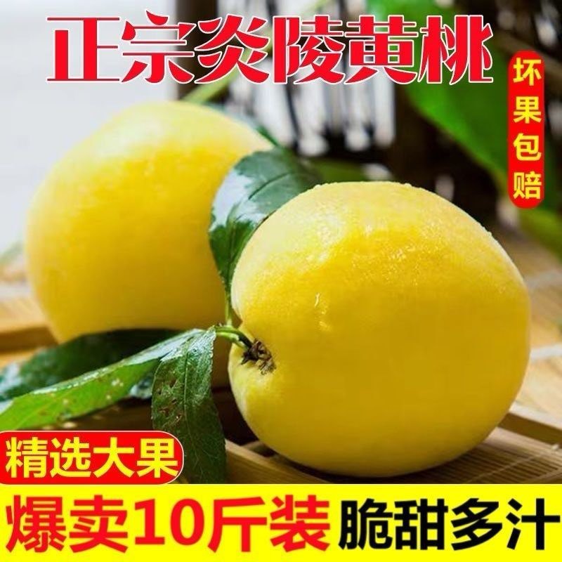 正宗炎陵黄桃，专业供应链，电商代发。一件也发货