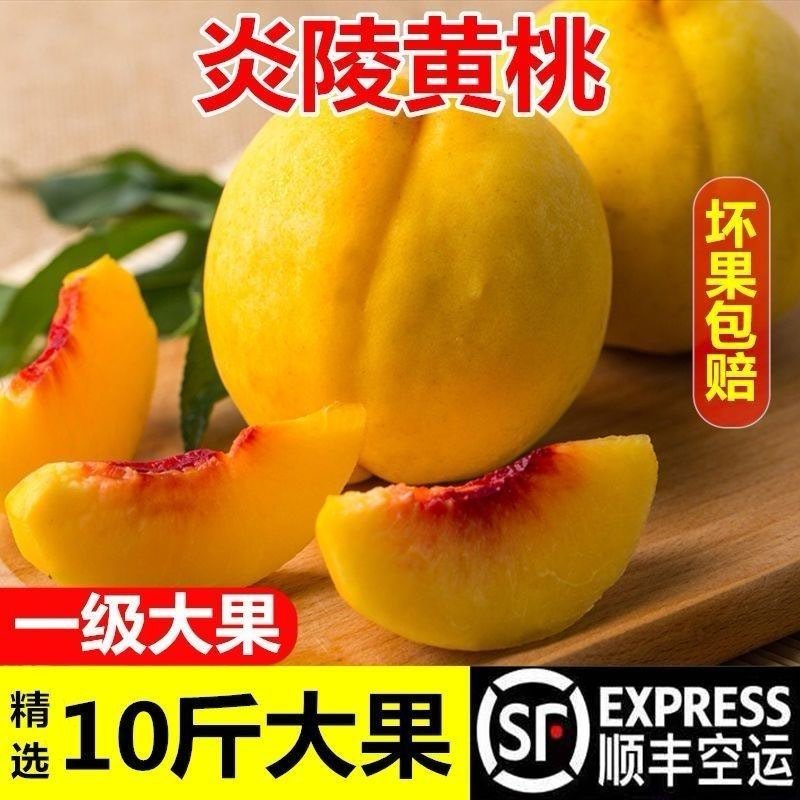 正宗炎陵黄桃，专业供应链，电商代发。一件也发货