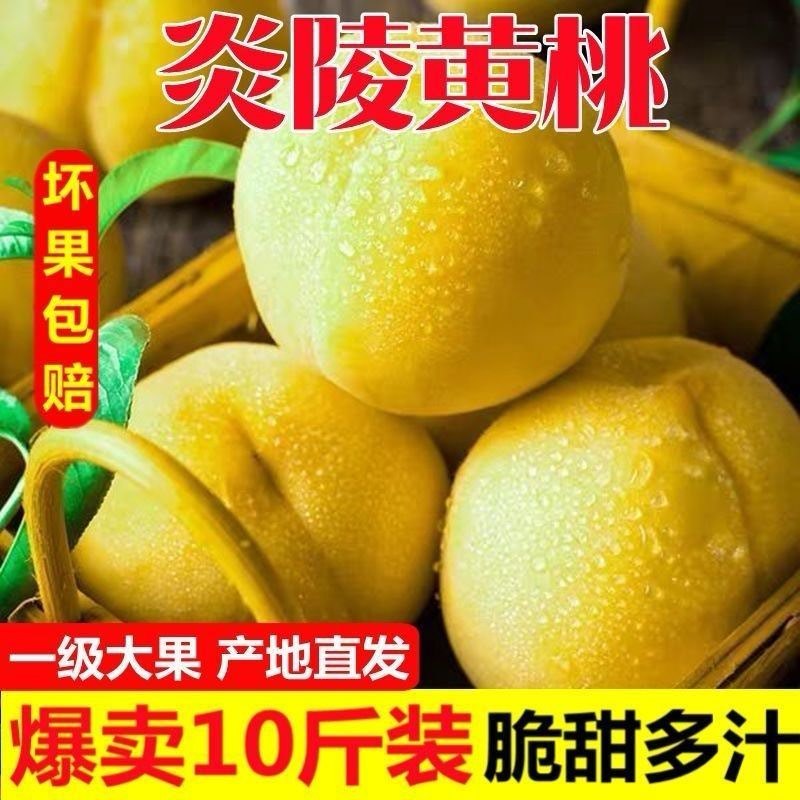 正宗炎陵黄桃，专业供应链，电商代发。一件也发货