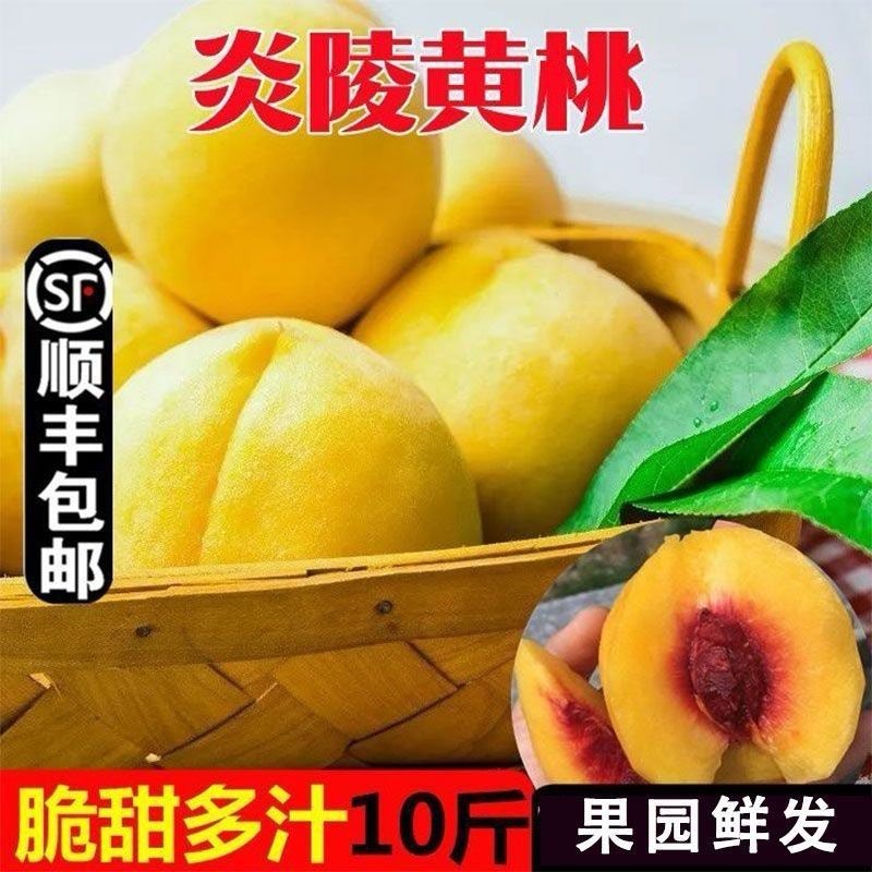 正宗炎陵黄桃，专业供应链，电商代发。一件也发货