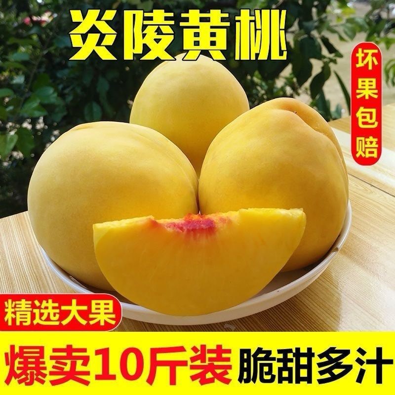 正宗炎陵黄桃，专业供应链，电商代发。一件也发货