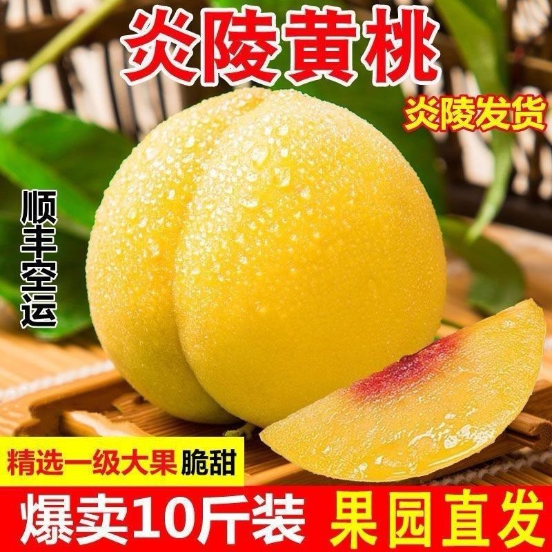 正宗炎陵黄桃，专业供应链，电商代发。一件也发货
