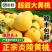 正宗炎陵黄桃，专业供应链，电商代发。一件也发货