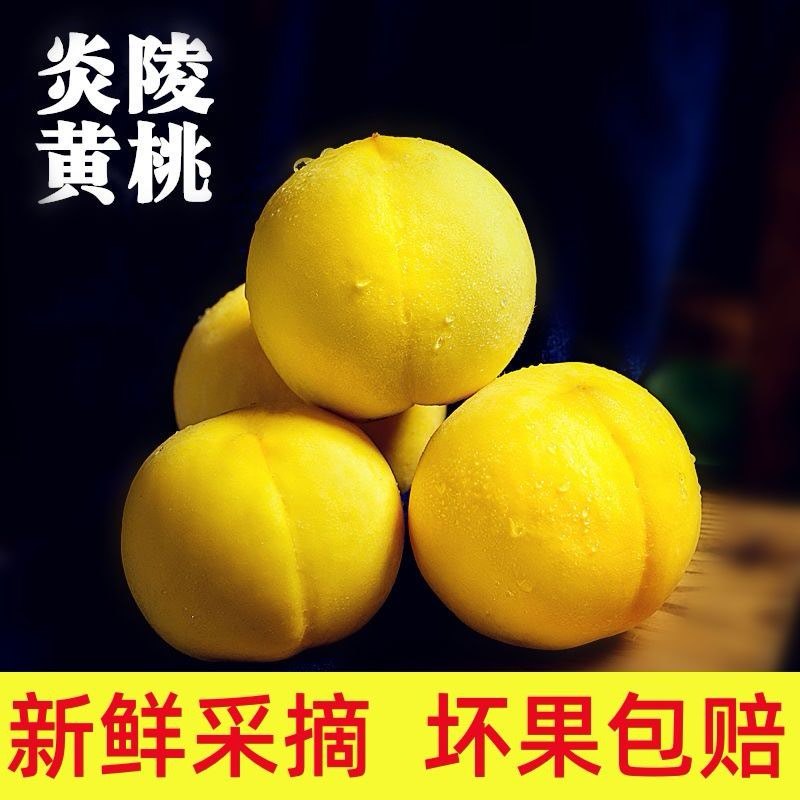 正宗炎陵黄桃，专业电商代发。都在一起，助力炎陵黄桃供应链
