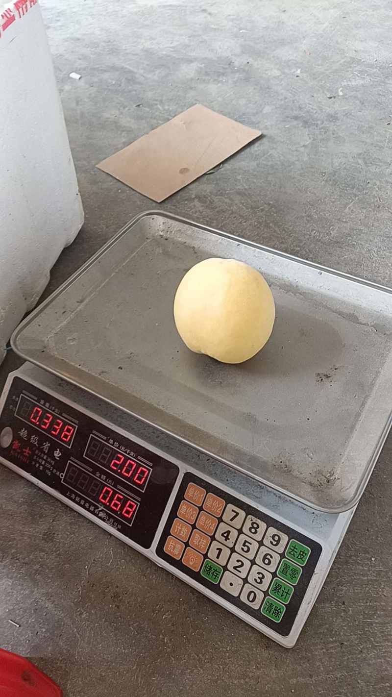 正宗炎陵黄桃，专业电商代发。都在一起，助力炎陵黄桃供应链