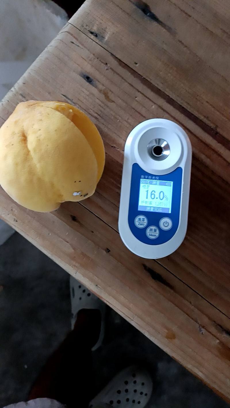 正宗炎陵黄桃，专业电商代发。都在一起，助力炎陵黄桃供应链