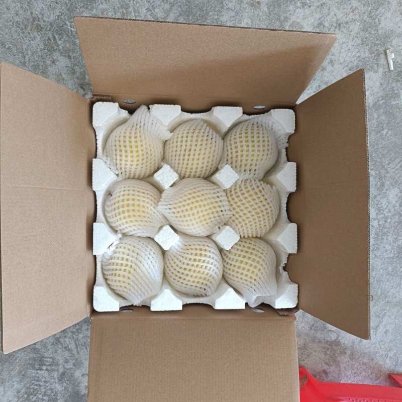 正宗炎陵黄桃，专业电商代发。都在一起，助力炎陵黄桃供应链