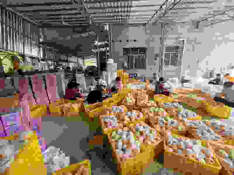 正宗炎陵黄桃，专业电商代发。都在一起，助力炎陵黄桃供应链
