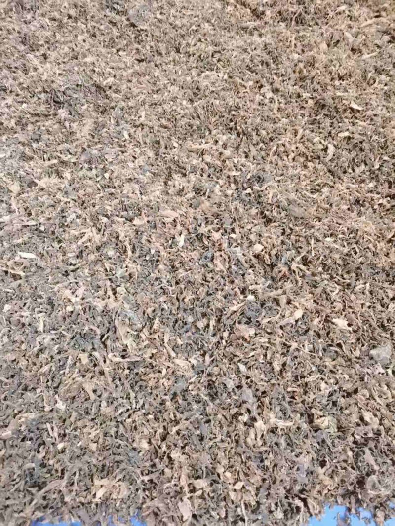自家晾晒梅干菜