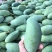 正宗广西百色桂七芒果基地直发