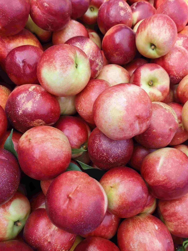 锦绣黄桃，珍珠枣油桃，水蜜桃