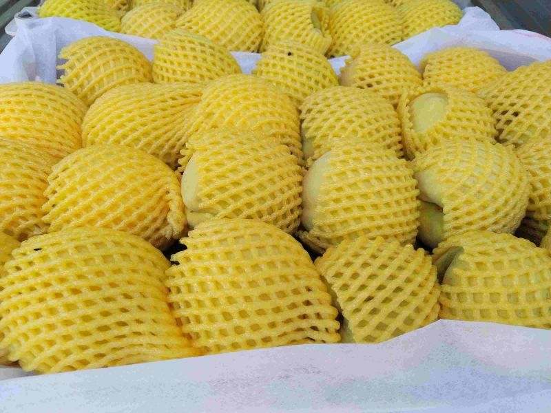 锦绣黄桃，珍珠枣油桃，水蜜桃