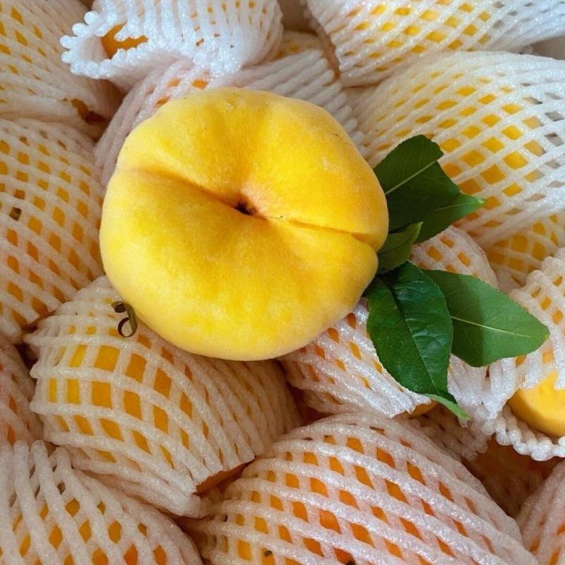 山东蒙阴正宗黄毛蟠，电商团购支持一件代发