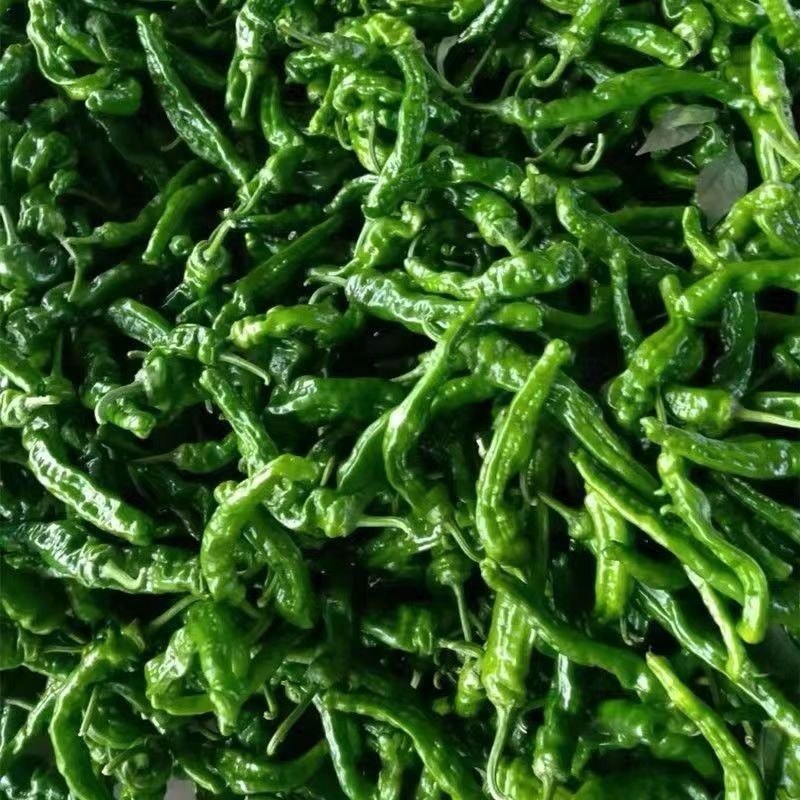 小皱皮辣椒