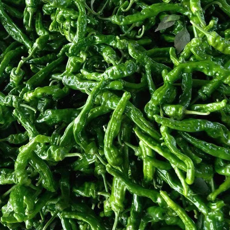 小皱皮辣椒