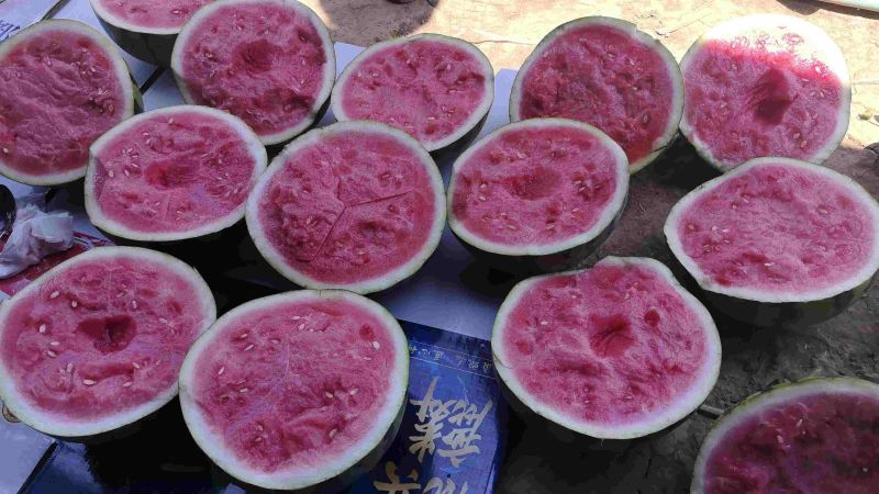 甘肃无籽麒麟西瓜🍉质量三包全国发货