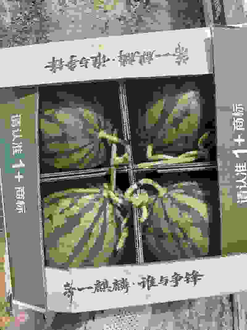 甘肃无籽麒麟西瓜🍉质量三包全国发货
