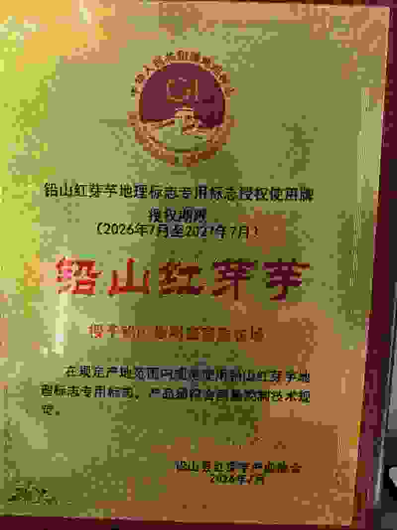 铅山红芽芋