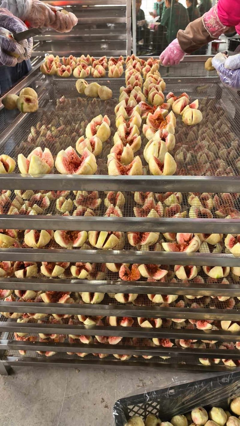 工厂出果干大量有货农副产品加工