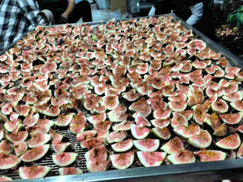 工厂出果干大量有货农副产品加工
