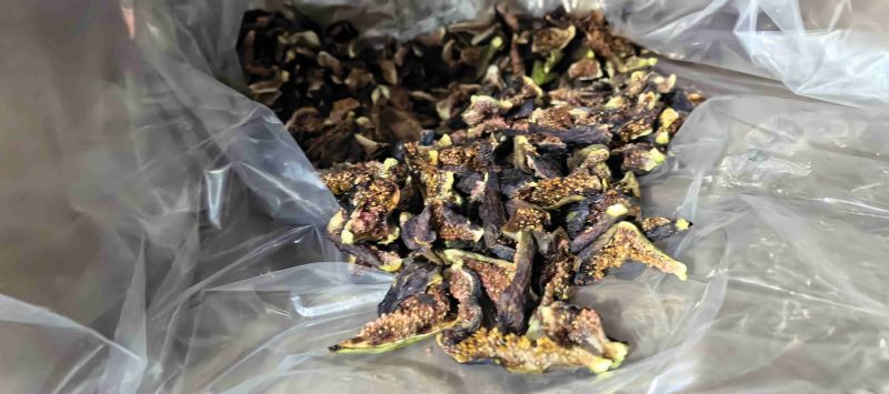 工厂出果干大量有货农副产品加工